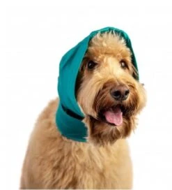 Bandage No Flap Pour Chien XS