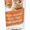 Beaphar Pâte Multivitaminé à La Taurine Et Omégas Pour Chat 100 Grs