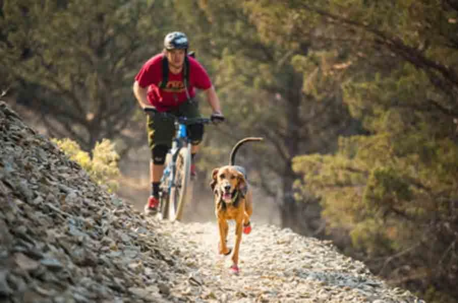 Ruffwear Bottines Grip Trex Rouge 38 Mm - Destockage – Image 2