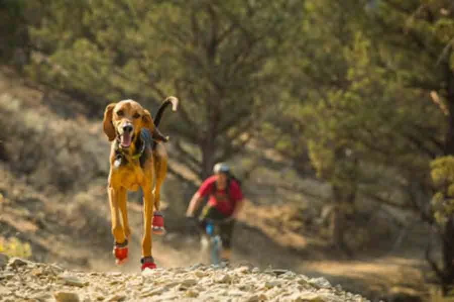 Ruffwear Bottines Grip Trex Rouge 38 Mm - Destockage – Image 4