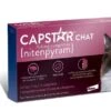 Capstar 11.4 Mg Chat