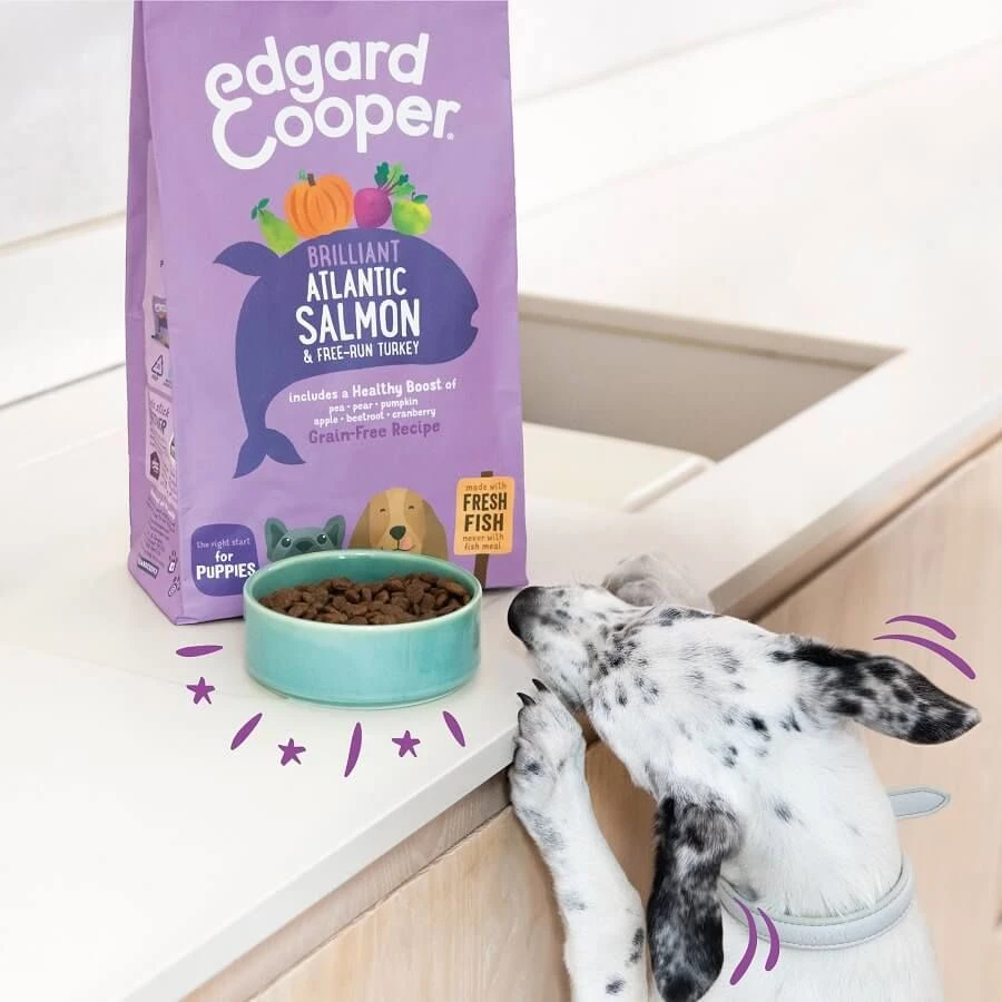 Edgard & Cooper Saumon-Dinde Sans Céréales Chiot 12 Kg – Image 2