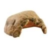 Exo Terra Caverne Tortue 41 X 28 X 21 Cm