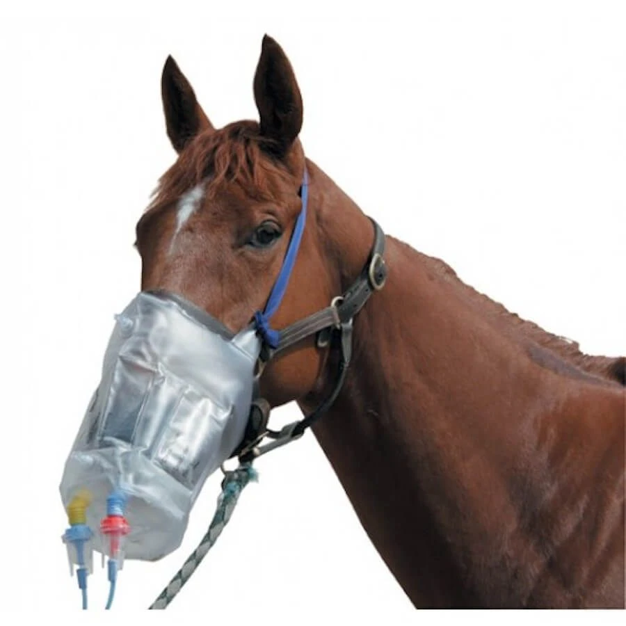 Greenpex Jeu De Filtres Pour Nébulisateur Horseneb – Image 2