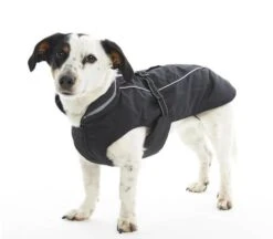 Imperméable Noir Outdoor Wear Buster Chien XS