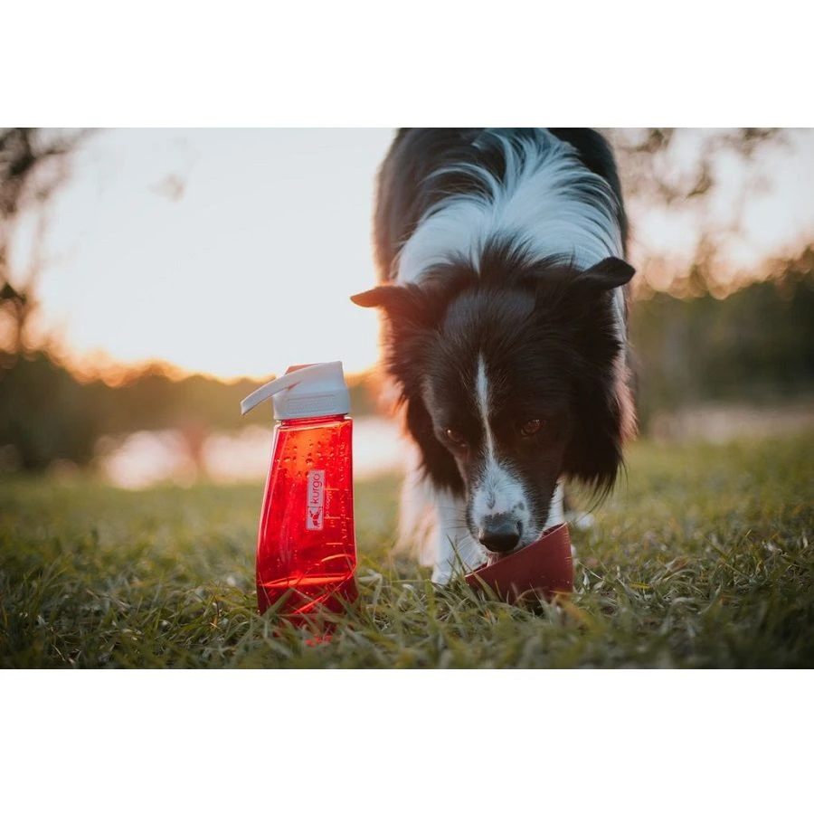 Kurgo Gourde Avec Bol Intégré Rouge Pour Chien 750 Ml – Image 4