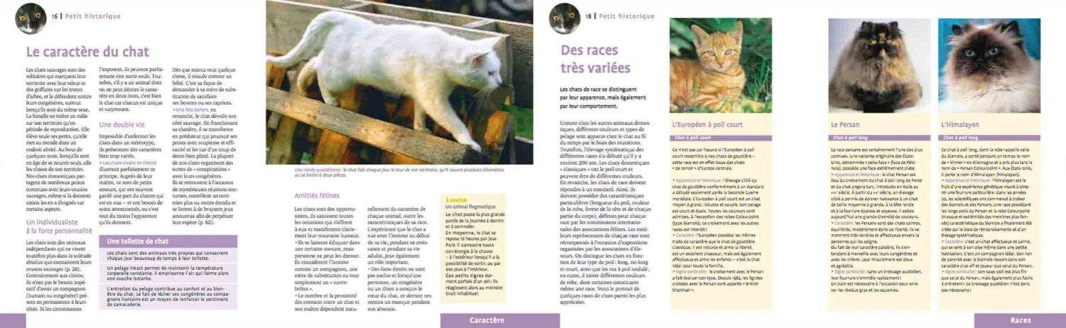 Livre - Tout Sur Mon Chat – Image 3