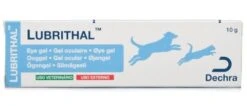 Lubrithal Gel Oculaire 10 Grs