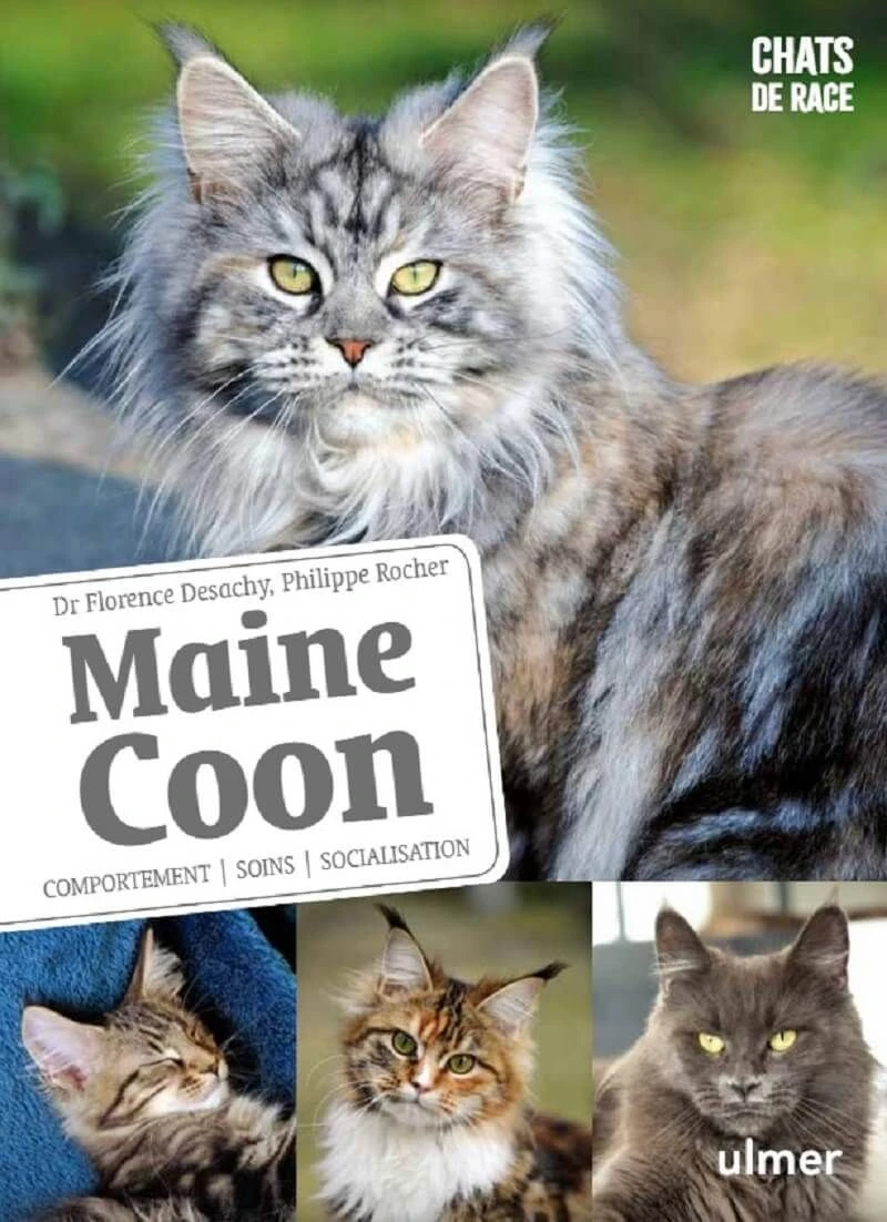Livre - Maine Coon
