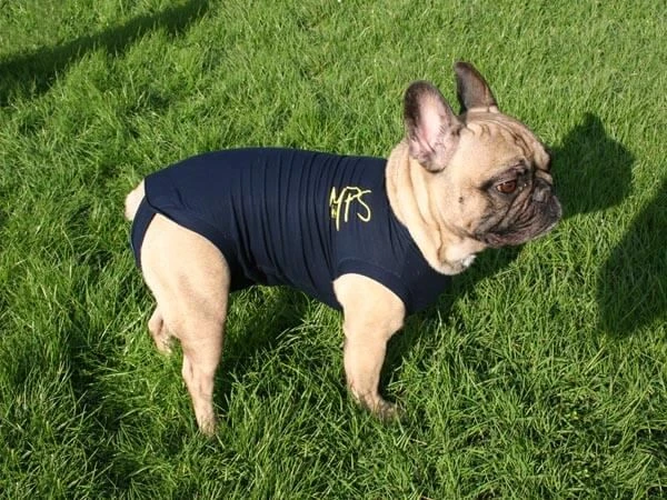 Medical Pet Shirt Chien XXXS – Image 2