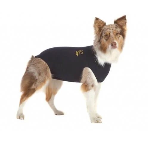 Medical Pet Shirt Chien M – Image 2