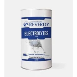Reverdy Electrolytes Poudre 2,2 Kg