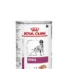 Royal Canin Vet Chien Renal 12 X 410 G