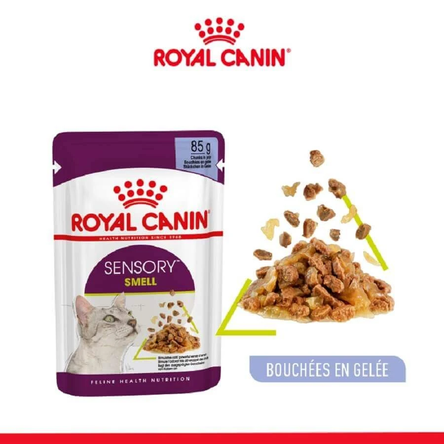 Royal Canin Sensory Smell En Gelée Pour Chat 12 X 85 G – Image 2