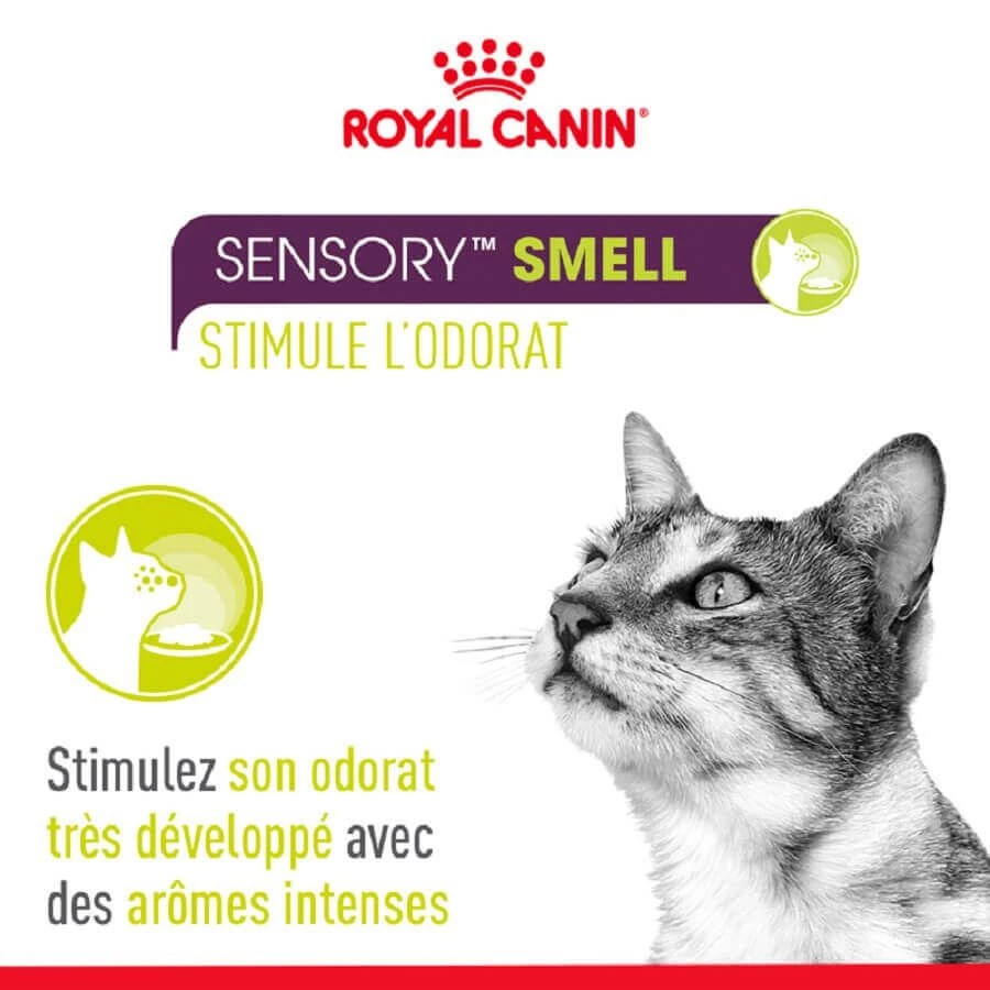 Royal Canin Sensory Smell En Gelée Pour Chat 12 X 85 G – Image 4