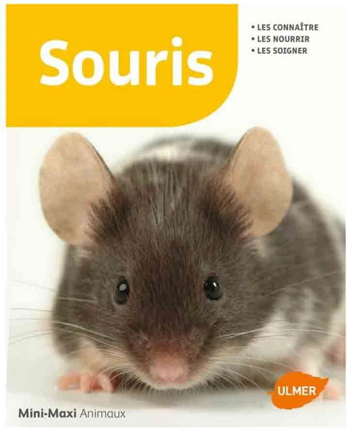Livre - Souris
