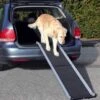 Trixie Rampe Pliable Petwalk 38 × 155 Cm