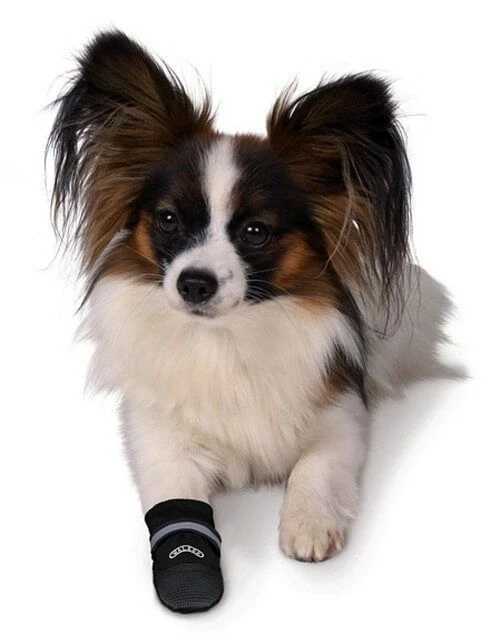 Trixie Bottes Protection Walker Care Confort XL X 2 – Image 2