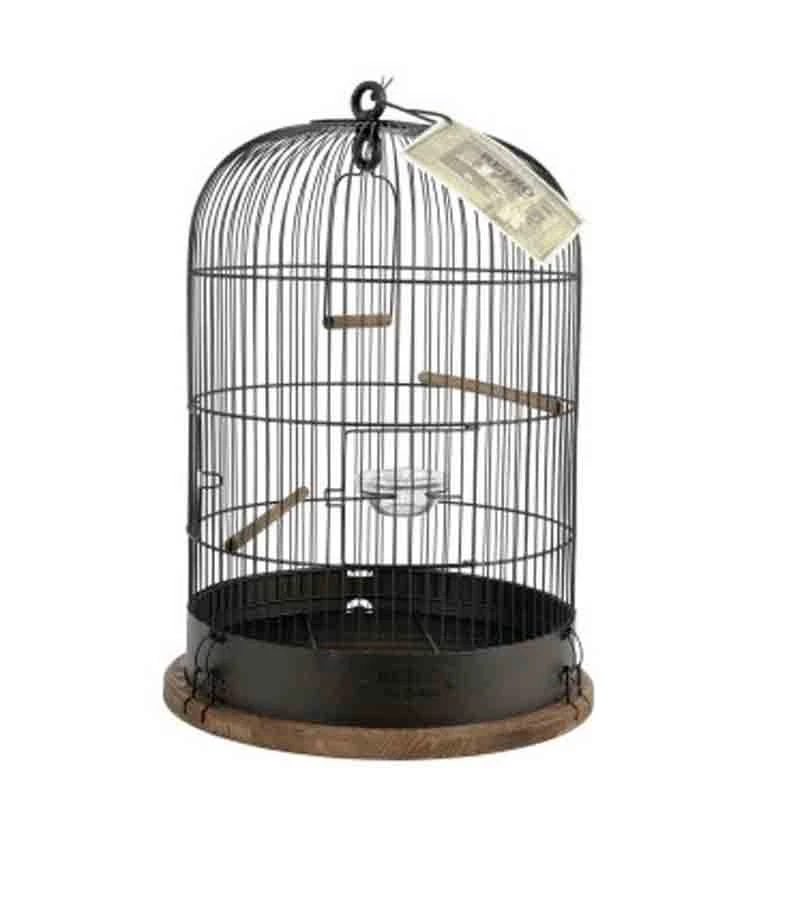 Zolux Cage Retro Lisette Pour Oiseaux – Image 2
