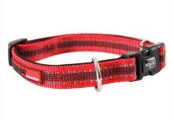 Zolux Collier Réglable MOOV Rouge 25 Mm