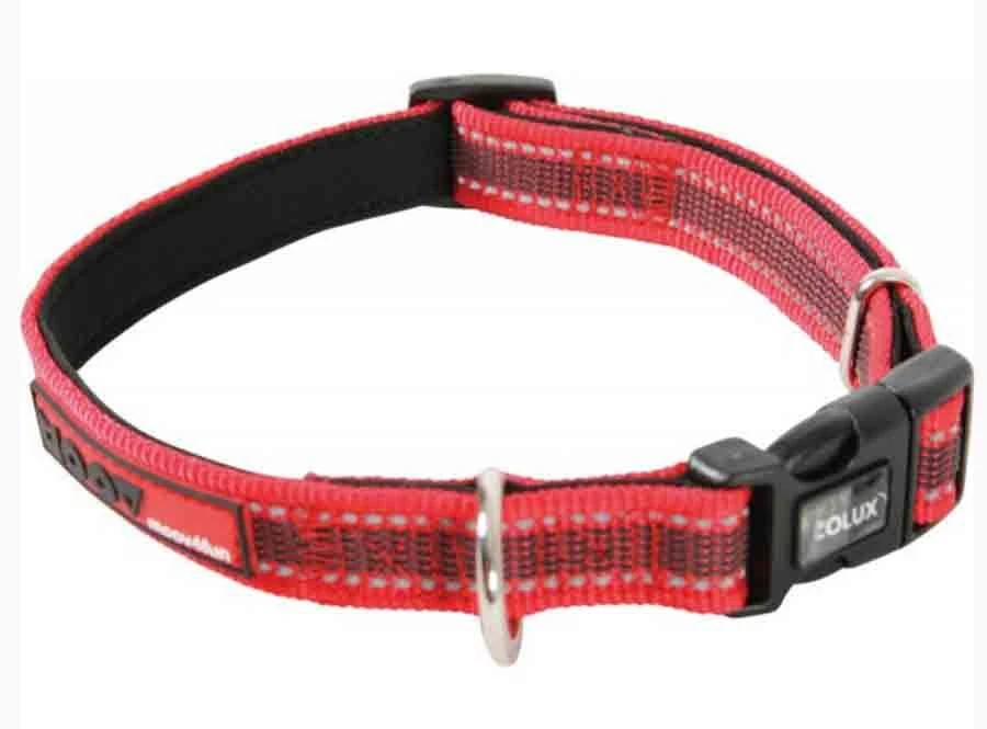 Zolux Collier Réglable MOOV Rouge 25 Mm – Image 3